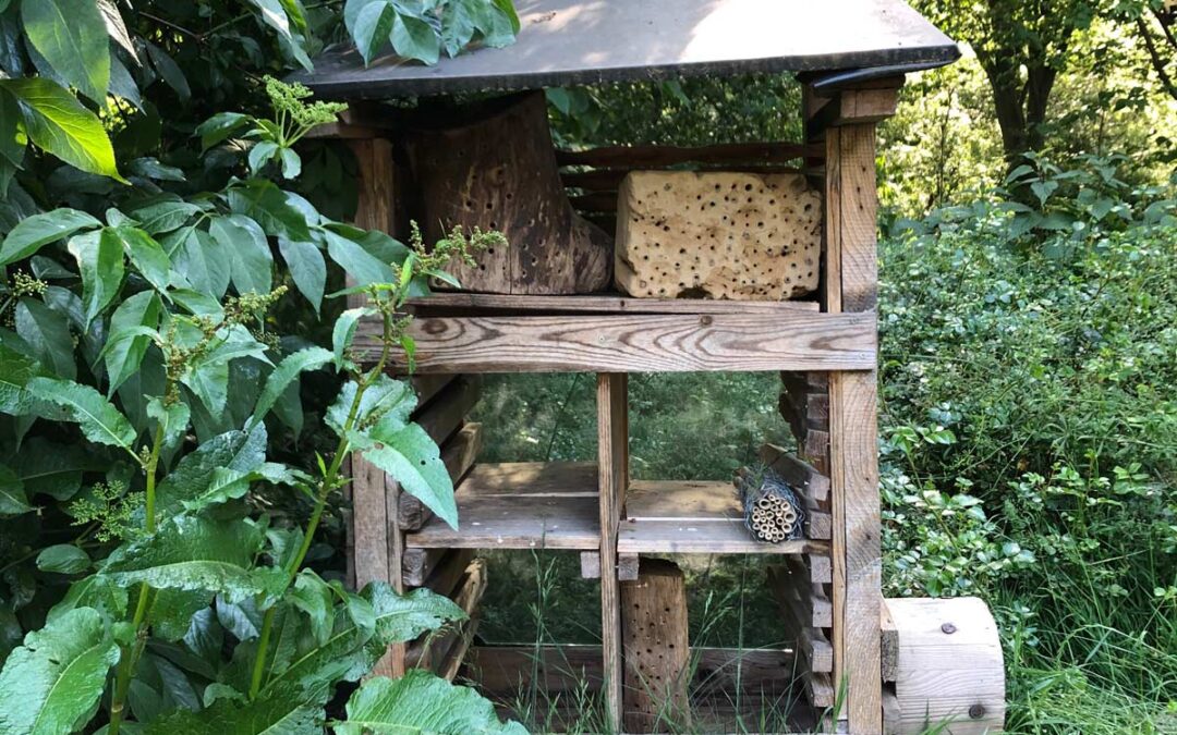 Insektenhotel im Pagalino