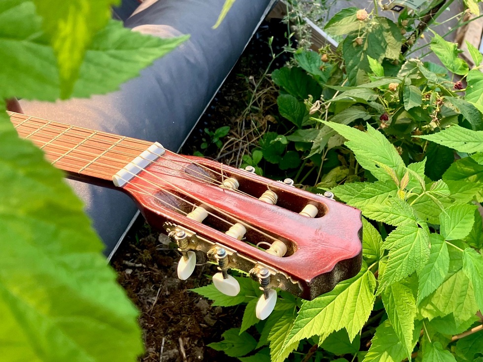 Kleines Fest im Campus-Garten mit Boogie Slam, Sommertanz und wilden Blüten am 03.09.2024