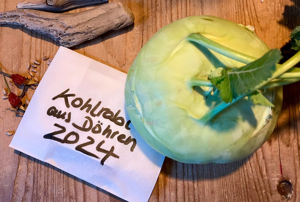 Pflanzentauschbörse: Auf die Pflanze, fertig, los! am 27. April 2025