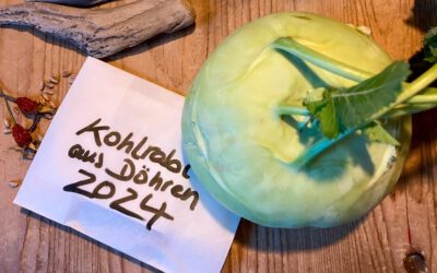 27. April 2025 – Pflanzentauschbörse: Auf die Pflanze, fertig, los!