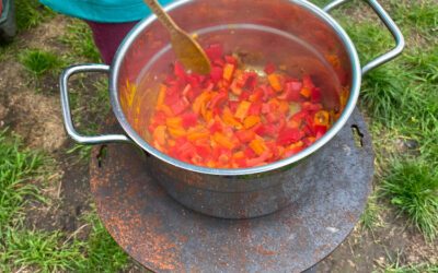 WS Pflanzenkohle für Terra Preta brennen