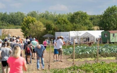 Mittwoch, 20.8.2025 – Zu Gast bei der SoLaWi Hannover